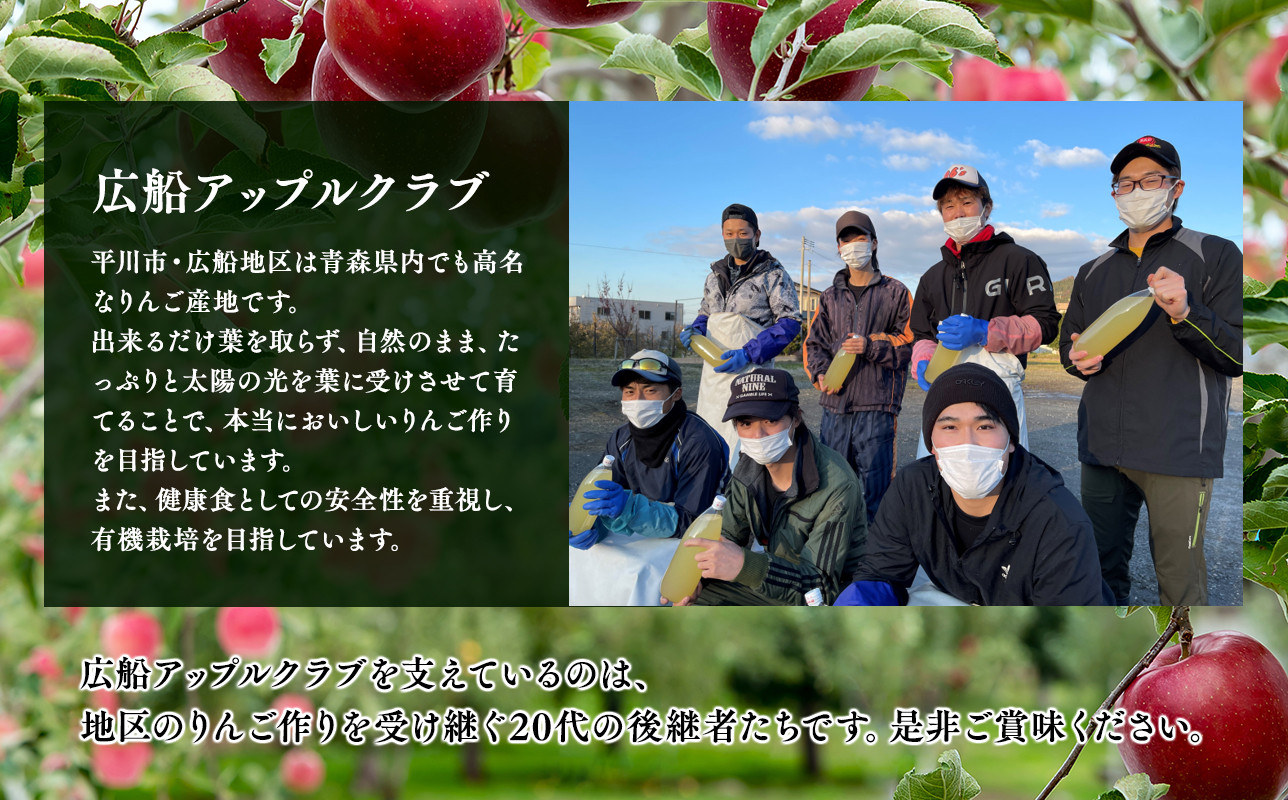 ≪年明け発送≫青森県産 贈答規格 広船の大玉金星 約3kg「特A」【青森県 平川市 広船アップルクラブ】贈答 大玉 金星 広船 年内 青森 青森県 平川 りんご リンゴ 林檎 くだもの 果物 フルーツ