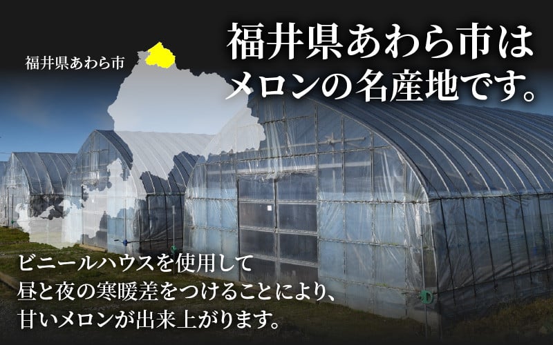 【先行予約】佐藤農園の赤肉と青肉食べ比べ計2玉（レノンメロン・アンデスメロン）農家直送 秀品 お届け！ / フルーツ くだもの 特産 旬 夏 果物 完熟  メロン 朝どれ 美味しい お取り寄せ 贈答 ※2026年6月中旬より順次発送 [aw069-a011]