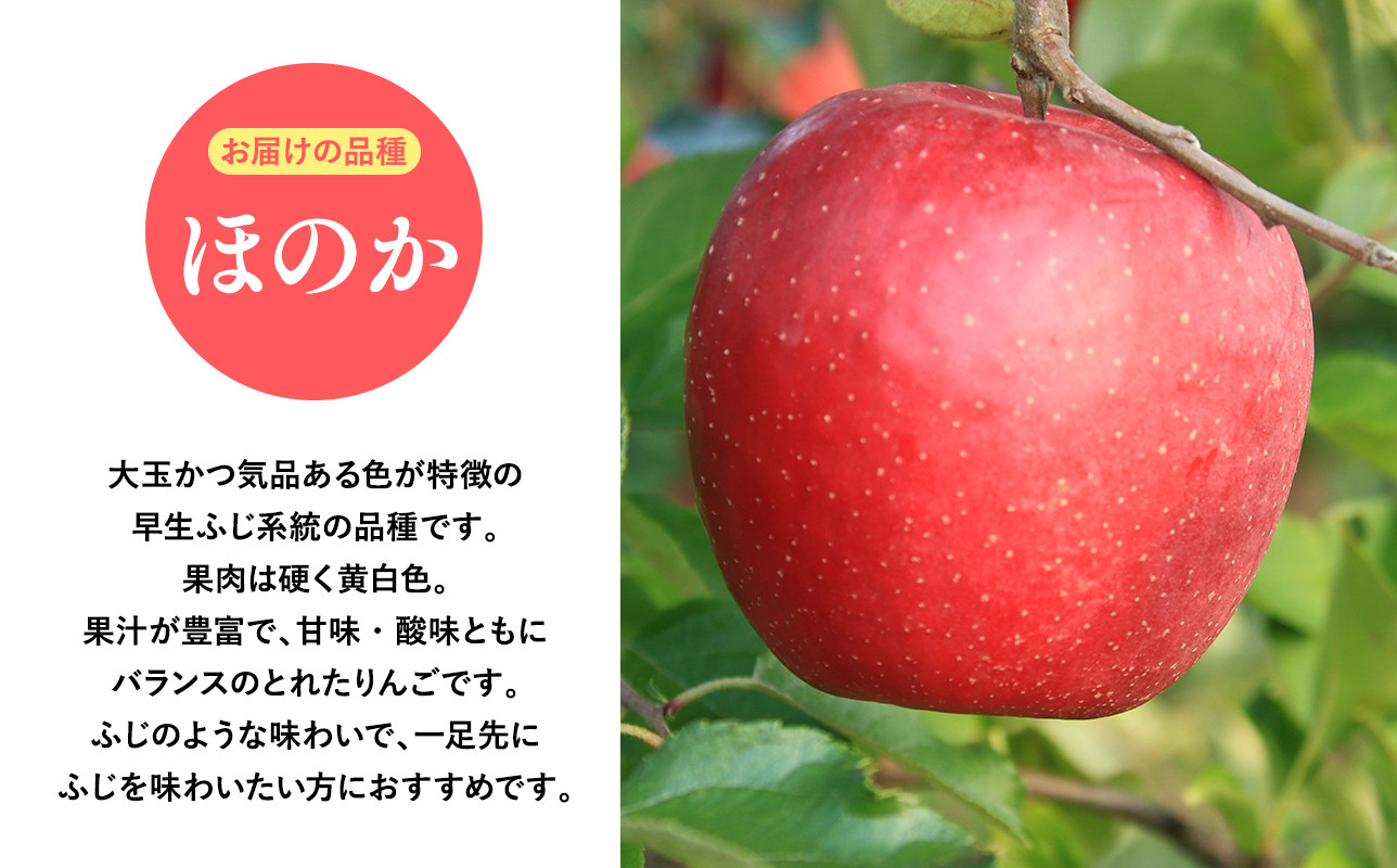 2025年産10月発送 贈答用ほのか3kg【青森県 平川市 そと川りんご園】10月発送 贈答 青森 青森県産 平川 りんご リンゴ 林檎 くだもの 果物 フルーツ