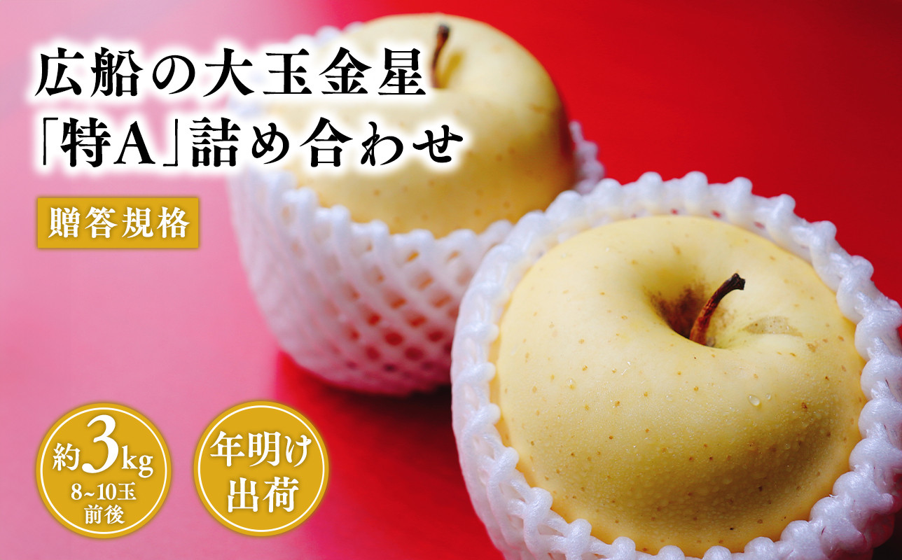 ≪年明け発送≫青森県産 贈答規格 広船の大玉金星 約3kg「特A」【青森県 平川市 広船アップルクラブ】贈答 大玉 金星 広船 年内 青森 青森県 平川 りんご リンゴ 林檎 くだもの 果物 フルーツ