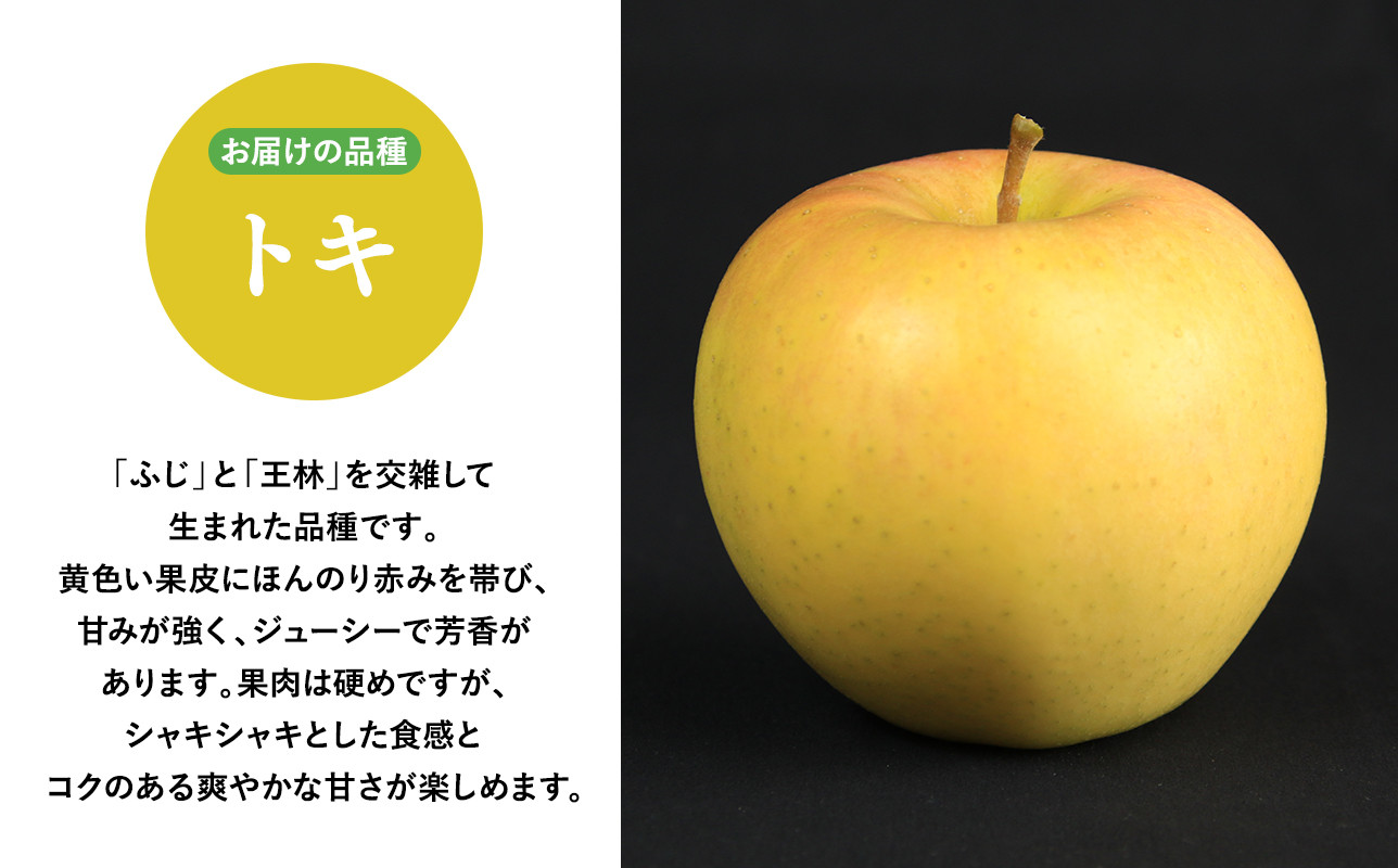 2025年産１０月発送　贈答用トキ10kg【青森県 平川市 そと川りんご園】１０月発送 贈答 青森 青森県産 平川 りんご リンゴ 林檎 くだもの 果物 フルーツ 