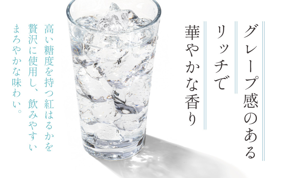 本格芋焼酎 「OPNIK」500ml 33% 1本 いも焼酎 芋焼酎 お酒 鹿児島 ロック ハイボール 内祝い 贈答用 ギフト 南さつま市