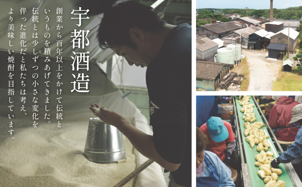 本格芋焼酎 「OPNIK」500ml 33% 1本 いも焼酎 芋焼酎 お酒 鹿児島 ロック ハイボール 内祝い 贈答用 ギフト 南さつま市