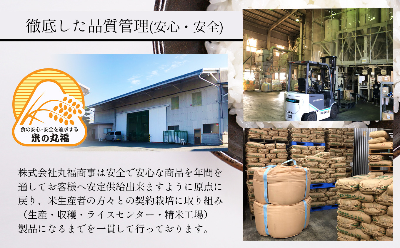 熊本県産 森のくまさん 10kg | 米 こめ お米 おこめ 白米 精米 熊本県 玉名市