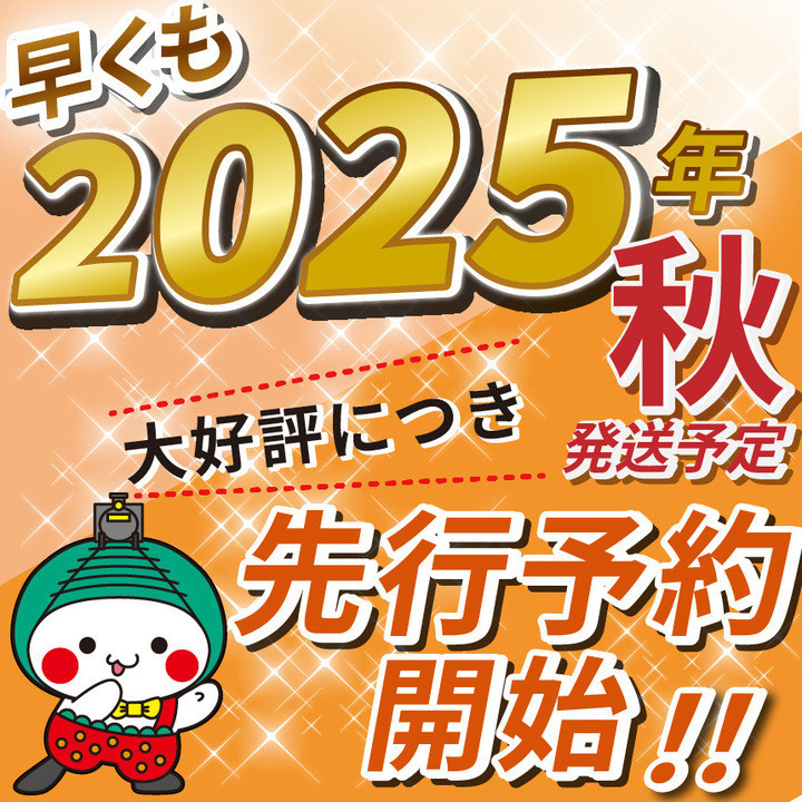 いちご農家さん応援米!令和7年度新米 玄米真空パック 約2kg とちぎの星 | 2025年 10月 11月 12月 秋 先行予約 新米 真岡市産 真空 パック 米  お米 こめ 玄米 ご飯 ごはん もちもち  限定 ふるさと納税 先行 予約 栃木県 真岡市 送料無料