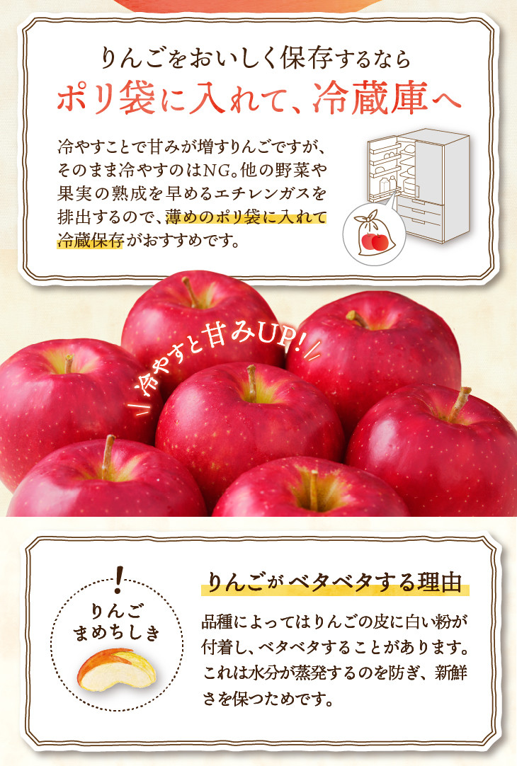 【数量限定】江刺りんご（サンふじ・シナノゴールド）贈答用化粧箱入 2.5kg 【12月お届け】 フルーツ 林檎 贈答 ギフト [AQ009]