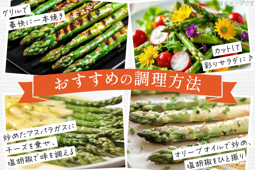 アスパラ アスパラガス 春芽アスパラガス 4kg M L サイズ混合 [はゆっちFARM 長崎県 東彼杵町 hs42bag360018] アスパラ あすぱら 新鮮 春