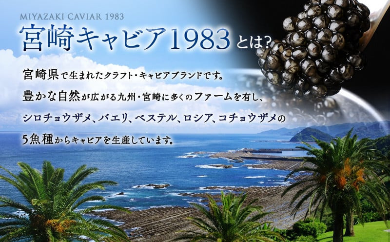 【最速便】【日時指定可能】熟成キャビア醤油(30g)_M017-047-2W