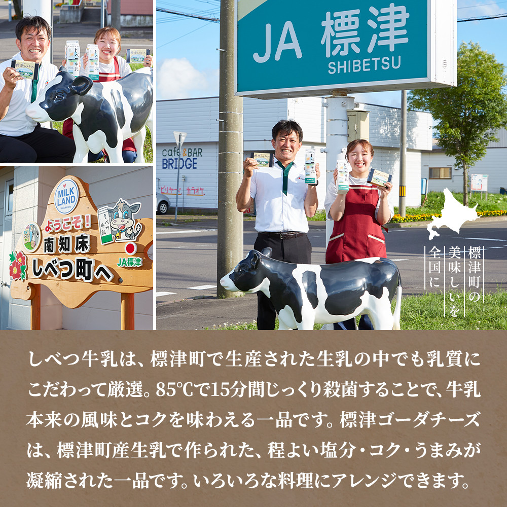 <毎月定期便><3ヶ月定期便>しべつ牛乳4本・標津ゴーダチーズ2袋セット 北海道 詰め合わせ全3回【4067105】