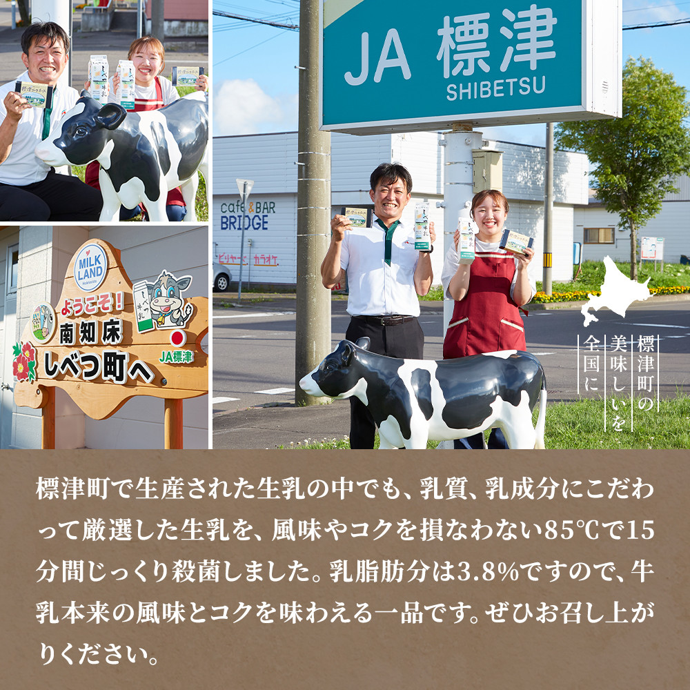 ＜毎月定期便＞＜3ヶ月定期便＞しべつ牛乳1L×4本　北海道 パックミルク 美味しい全3回【4067096】