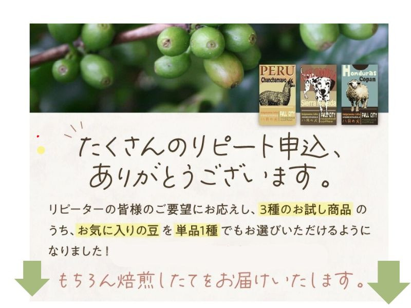 コーヒー豆【豆のまま・粉/挽き方選べる】京都・自家焙煎 コーヒー豆 お試しセット 200gx3種< 栽培期間中農薬不使用> コーヒー豆・粉細挽き・中挽き ・あら挽き 珈琲豆 珈琲・焙煎コーヒー 粉 人気 本格 スペシャルティコーヒー 飲み比べ HA00021