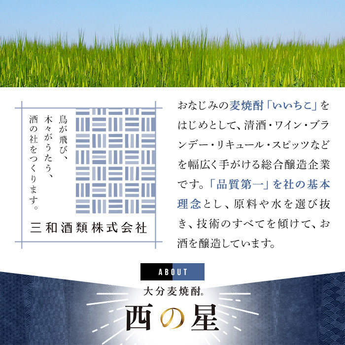 いいちこの推奨商品「西の星」地元産麦100％の本格麦焼酎 THE USA Box/DX(計3.6L・1.8L×2本)酒 お酒 麦焼酎 三和酒類 25度 セット 紙パック【114003301】【一般社団法人　地域商社USA】