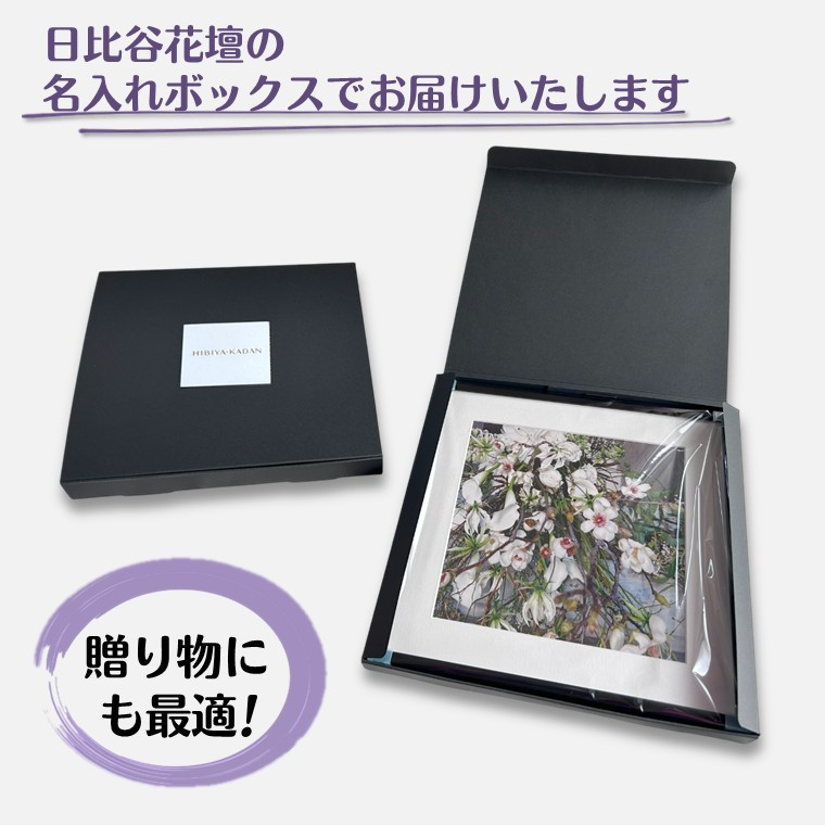 日比谷花壇のフラワーフレームアート Sunlit Bloom(陽光満開) ソフケン アルミフレーム 25x25cm