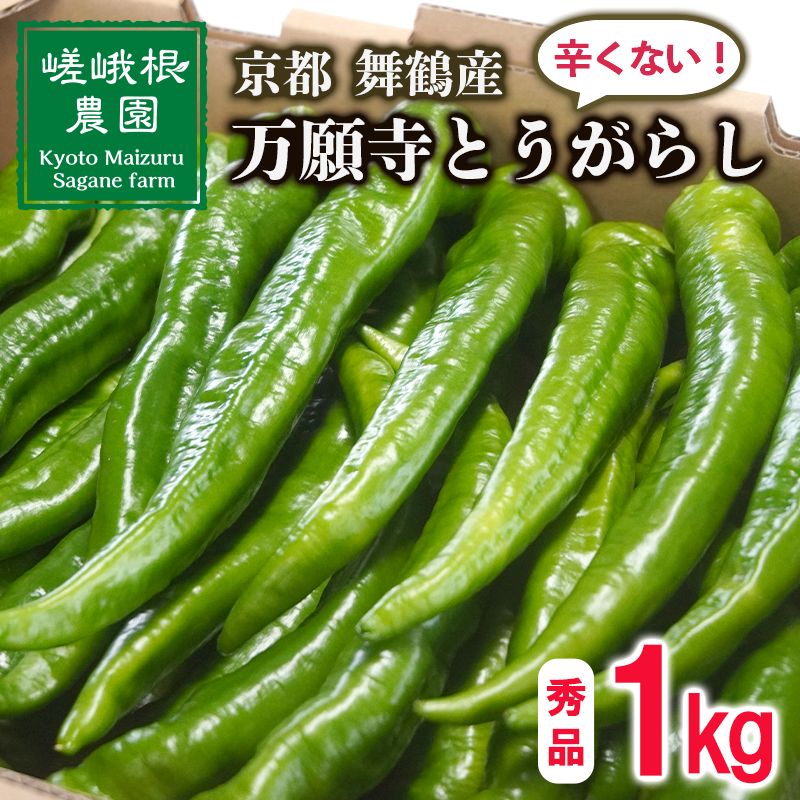 【5月中旬~11月下旬発送】 万願寺 とうがらし 秀品 1kg 辛くない 美味しい おいしい 肉厚 甘い 旬 採れたて 箱入り 伝統野菜 バーベキュー BBQ 野菜 夏野菜 農家 産地 直送 揚げ物 炒め物 煮物 万願寺とうがらし 唐辛子 京都 舞鶴 | まんがんじ ご当地野菜 地場産品 地場野菜 野菜 発祥 京都 京野菜 期間限定 夏野菜 秋 夏 野菜 やさい 箱入り