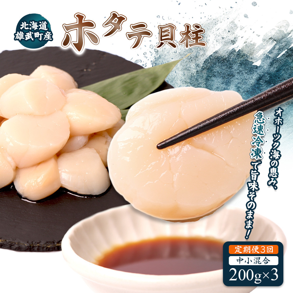 【定期便3回】 北海道雄武町産ほたて貝柱 中小混合 200g×3 (冷凍) 使い切りパック | ふるさと納税 北海道 雄武 ホタテ 帆立 ほたて 小粒 中粒 大粒 200g×3 1.8kg 冷凍 オホーツク オホーツク産 刺身 魚貝 魚介 海鮮 海産 海産物 魚介類 お取り寄せ ワンストップ マイページ 雄武漁業協同組合【0713701】