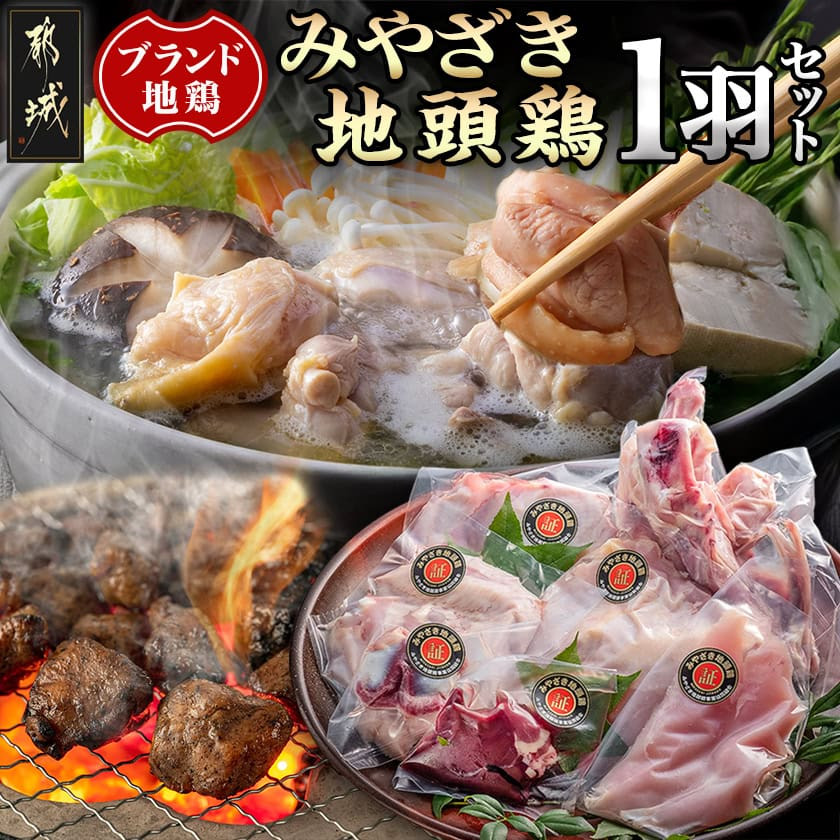みやざき地頭鶏1羽セット -_MJ-E602_ (都城市) 宮崎ブランド 宮崎の地鶏 みやざき地頭鶏 (じとっこ) 鶏肉セット モモ肉 胸身 ササミ 手羽先 手羽元 砂肝 レバーガラ 真空パック チルド 鶏一羽分
