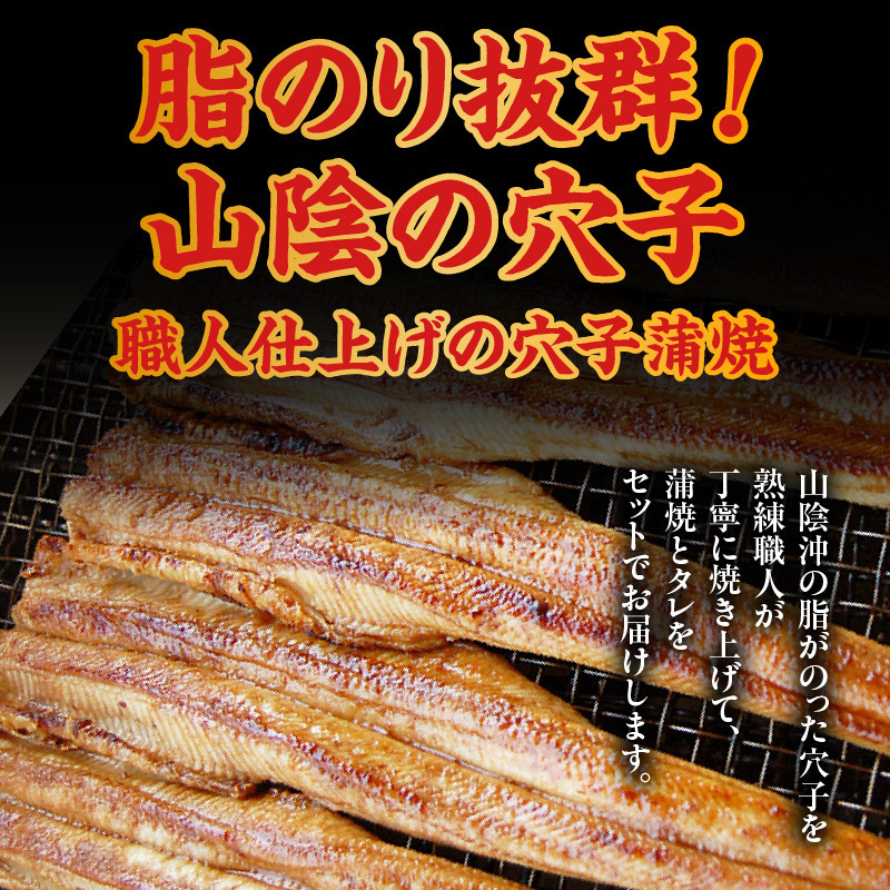 【山米鮮魚製 山陰沖のきざみ伝助あなご蒲焼丼60g×5食入(冷凍)】産地直送 日本海 国産 あなご 穴子 アナゴ 蒲焼き 大人気 ふるさと納税 兵庫県 香美町 香住 山米鮮魚 20000円 74-22