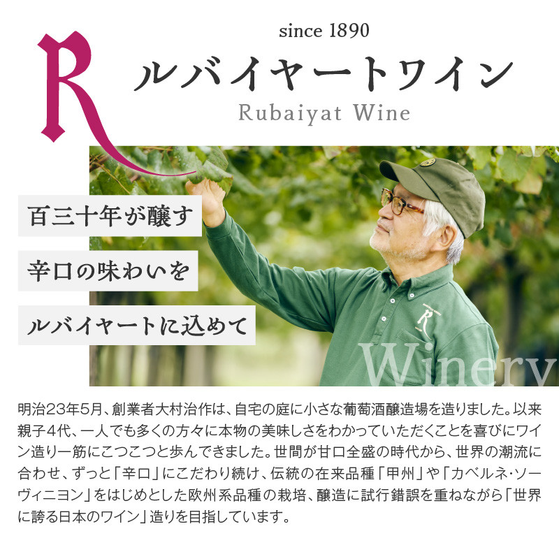 ルバイヤートの甲州種を堪能『甲州シュール・リー』『甲州醸し』ワイン2本セット（MF）C1-790 【ワイン 丸藤葡萄酒 白ワイン オレンジワイン 甲州市 山梨県】