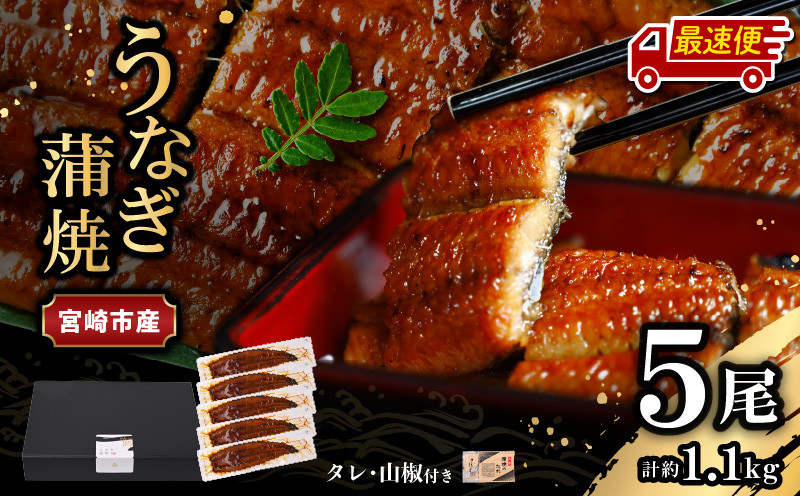 【最速便】【日時指定可能】宮崎県宮崎市産 うなぎの蒲焼 約1.1kg(約220g×5尾)タレ・山椒セット|鰻 うなぎ ウナギ うなぎ蒲焼 鰻蒲焼 ウナギの蒲焼 宮崎県産 蒲焼 ギフト 丑の日 タレ 鰻のたれ うなぎのたれ 宮崎うなぎ 宮崎県 宮崎市|_M325-012-2W