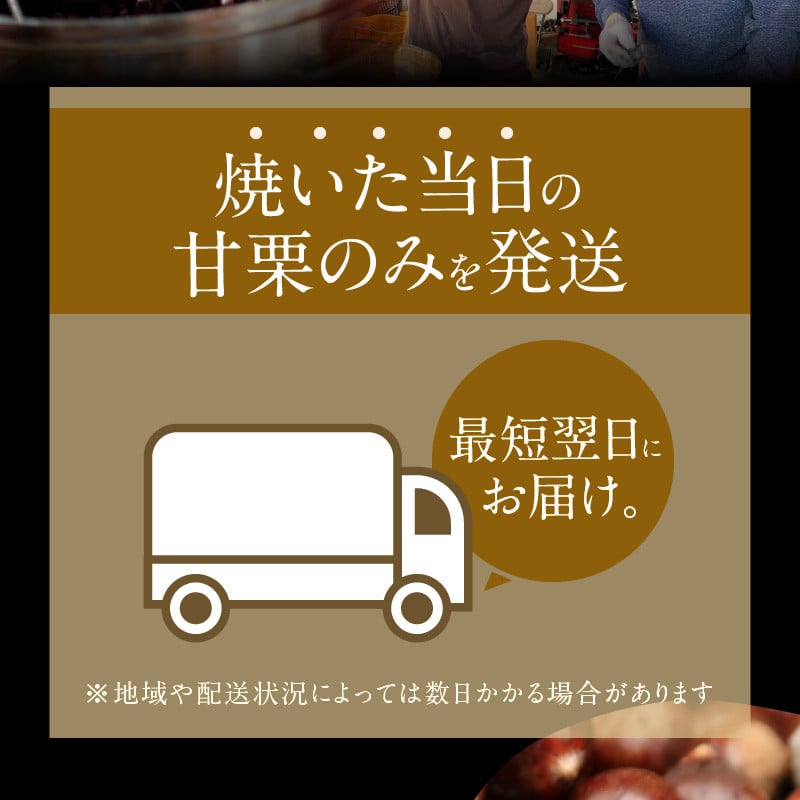 この道50年の職人が焼く、やさしい甘みたっぷりの「天津甘栗」 800g ! 焼きたて 栗 くり 栗爪 殻付き お菓子 おつまみ 人気 高リピート 小分け 栗ご飯 栗きんとん 甘露煮 H045-053