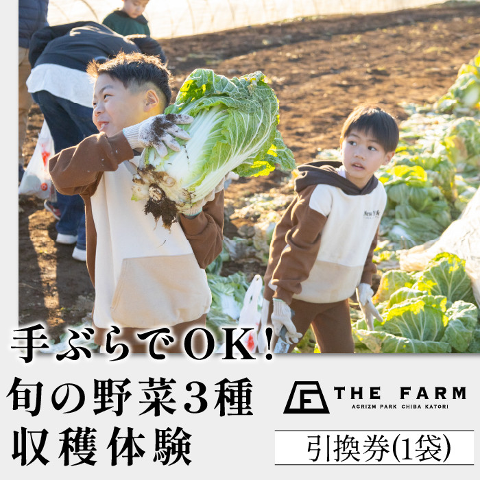 手ぶらでOK!THE FARMの旬の野菜収穫体験引換券(1袋) KTRC010
