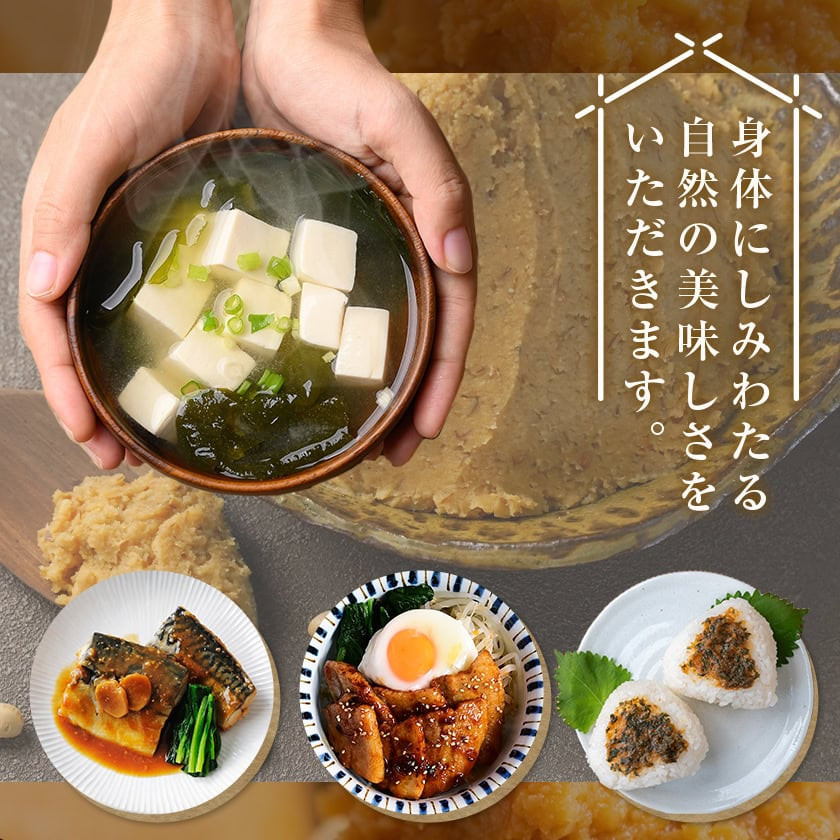 都城在来大豆みやだいず使用「はじめみそ」4kg≪みやこんじょ快速便≫_12-G801-R_ (都城市) はじめみそ 麦味噌 都城産 みやだいず使用 在来大豆 1kg×4個 生味噌