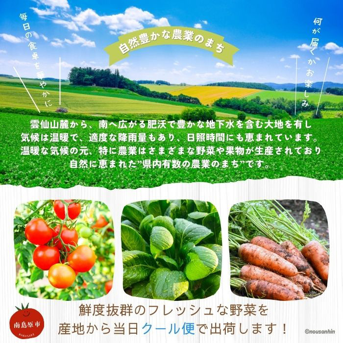 野菜定期便【12回定期便】野菜定期便「旬の野菜・フルーツ」 詰め合わせ セット（13品〜15品）/ 詰め合わせ 詰合せ 旬 セット 果物 定期便 野菜 野菜セット 新鮮 野菜詰め合わせ 旬野菜 やさいセット やさい 旬 野菜定期便 春野菜 夏野菜 秋野菜 国産 新鮮野菜 季節の野菜 サラダ スープ 炒め物 お任せ / 南島原市 / 長崎県農産品流通合同会社 [SCB093]