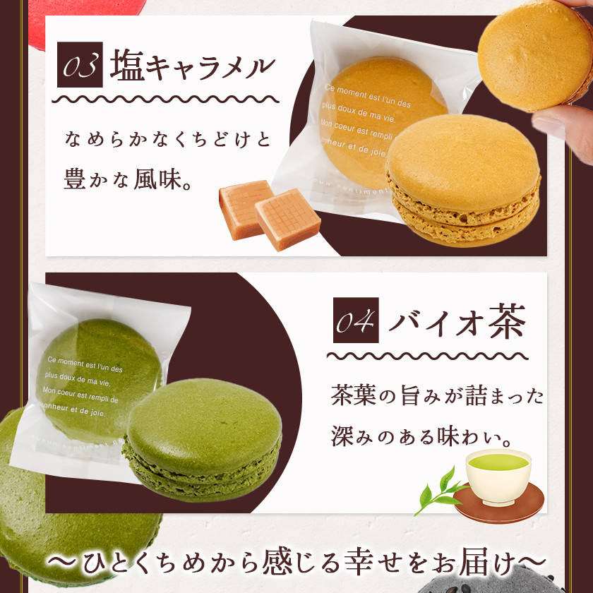 静マカロン 和洋折衷セレクト 6種6個入≪みやこんじょ特急便≫_LE-C207-Q_(都城市) スイーツ ショコラ いちご 塩キャラメル バイオ茶 黒ごま 和三盆 マカロン