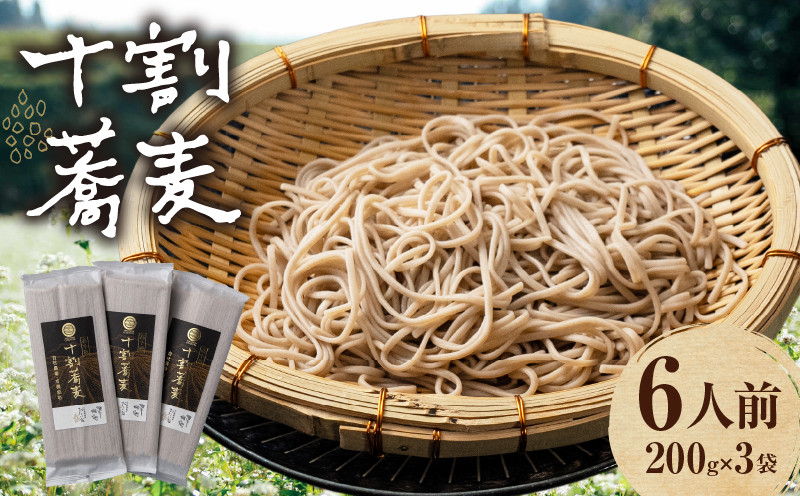 【国産乾そば6人前】そば 高千穂 有機栽培 10割蕎麦 200g×3袋 600g  | 蕎麦 十割 10割 国産 高千穂町産 乾麺 乾蕎麦 お蕎麦 贈答 贈り物 ギフト プレゼント 手土産 備蓄 保存食 おもてなし 年越し 年越しそば グルメ お取り寄せ おすすめ ご当地 宮崎県 高千穂町 | _Tk033-014