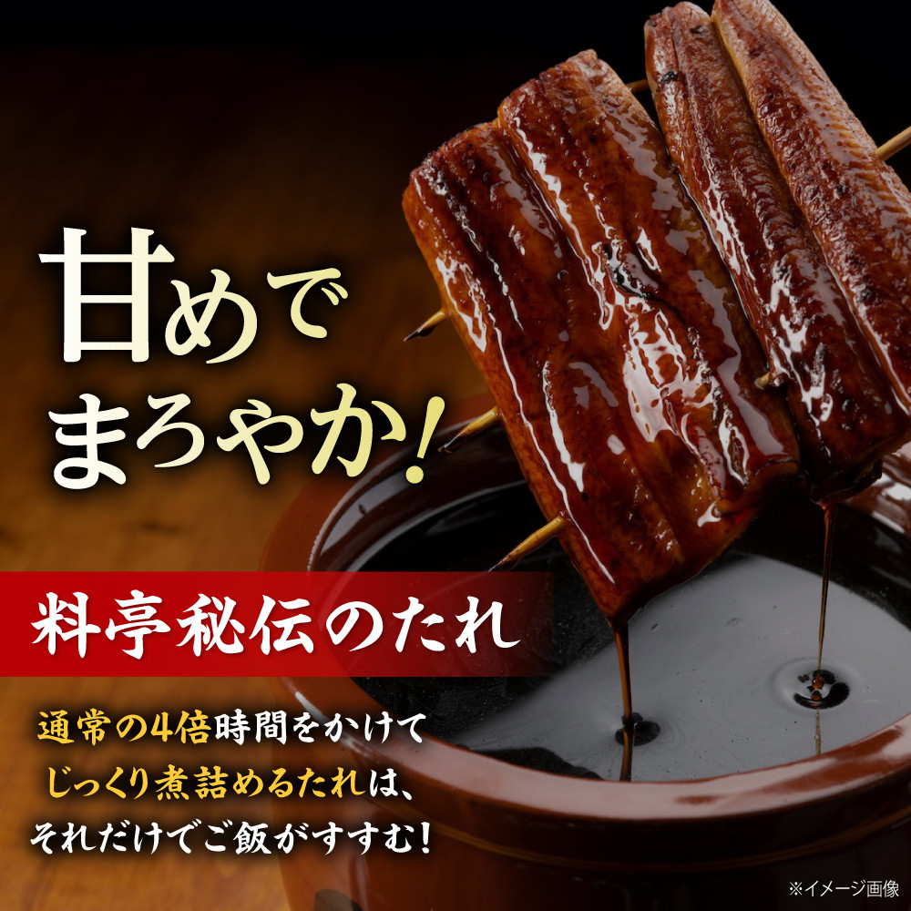 鰻【全12回定期便】うなぎ 蒲焼き 冷蔵 真空パック 10尾セット（2尾×5箱） ウナギ 絶品 国産 うな丼 鰻丼 うな重 鰻重 かば焼き 蒲焼 高級 丑の日 土用の丑の日 おすすめ 人気 お取り寄せ 送料無料 贈答 冷蔵 真空パック ギフト グルメ 惣菜 簡単調理 時短 湯煎 栄養満点 健康 贅沢 ご褒美 逸品 極上 ふっくら ふわふわ 食感 愛媛県大洲市/有限会社 樽井旅館[AGAH027] 