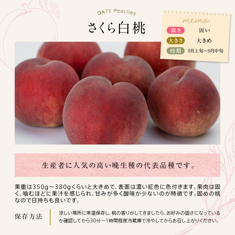 【2026年出荷分先行予約】福島県産 さくら白桃 約2㎏ (5~8玉) 斎藤果樹園 大玉 固め 白桃 伊達の桃 桃 フルーツ 果物 もも モモ momo F20C-636