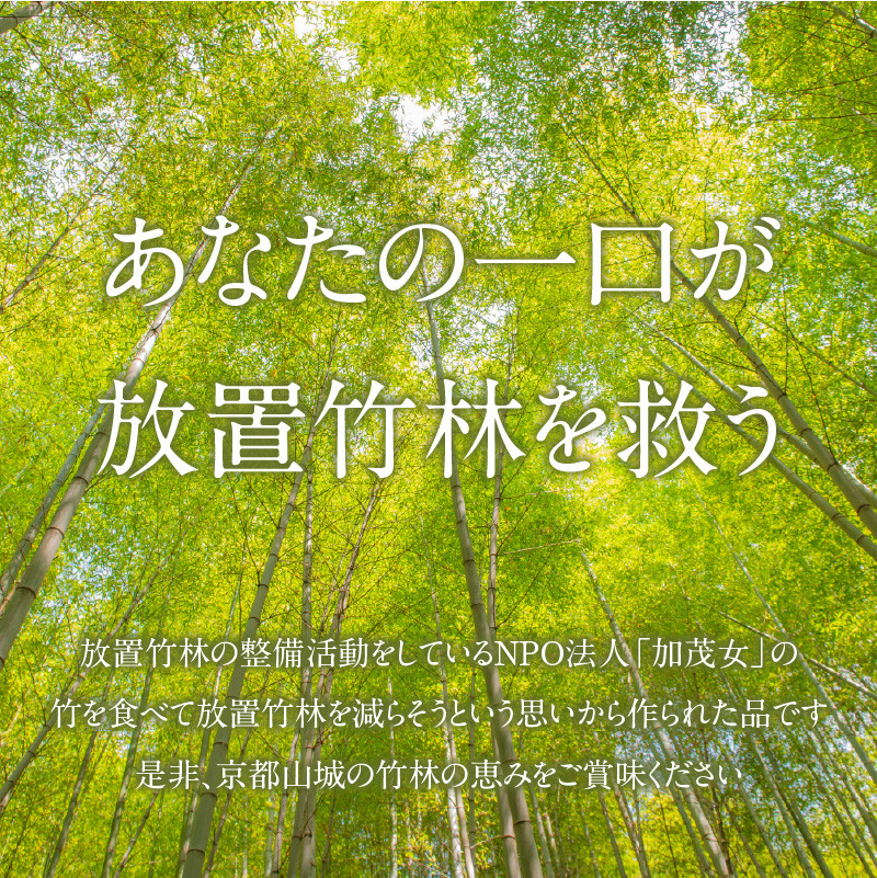 山城筍セット たけのこ 筍 竹の子 筍瓶詰め３種 和洋中(山椒味、メンマ、オイル） 筍スルメ（プレーン、山椒入り） 筍ジャム３個 おつまみ お茶漬け ごはんのおとも お茶請け パン クラッカーにつけて 山城特産品 たけのこ 京都府 木津川市【019-20】 