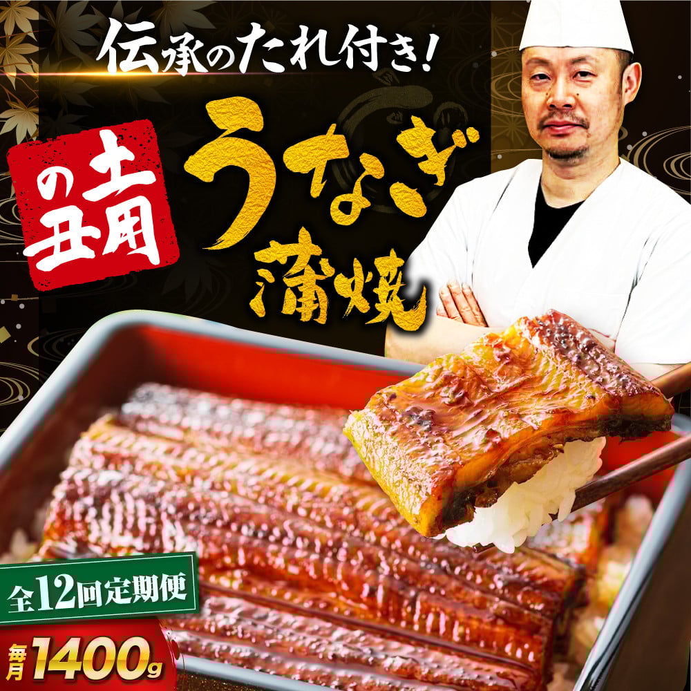 鰻【全12回定期便】うなぎ 蒲焼き 冷蔵 真空パック 10尾セット（2尾×5箱） ウナギ 絶品 国産 うな丼 鰻丼 うな重 鰻重 かば焼き 蒲焼 高級 丑の日 土用の丑の日 おすすめ 人気 お取り寄せ 送料無料 贈答 冷蔵 真空パック ギフト グルメ 惣菜 簡単調理 時短 湯煎 栄養満点 健康 贅沢 ご褒美 逸品 極上 ふっくら ふわふわ 食感 愛媛県大洲市/有限会社 樽井旅館[AGAH027] 