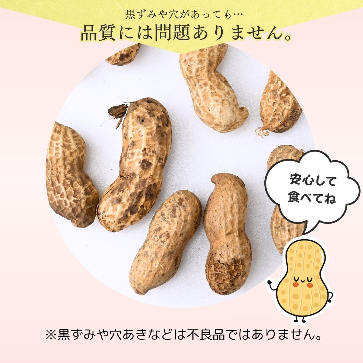 龍ケ崎産 殻付き落花生 千葉半立ち900g(180g×5袋) | 落花生 ピーナッツ ピーナツ ナッツ 国産 殻付き カラスニメカクシ おやつ お菓子 おつまみ お取り寄せ ヘルシー 健康 国産 茨城 特産品 農園 自家栽培 ビールのお供 野菜 豆 農家直送 お土産 贈り物 ギフト プチギフト 茨城県 龍ケ崎市