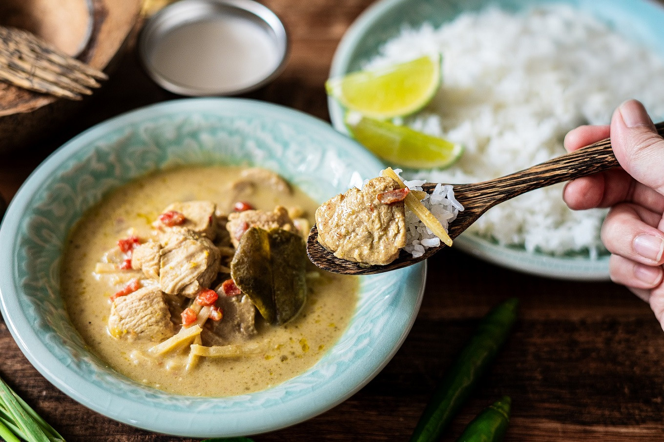 阿波尾鶏 グリーンカレー 10食 辛口 カレー タイカレー タイ料理 レトルト 阿波尾鶏 AWAODORI LAB 徳島 地鶏 あわおどり