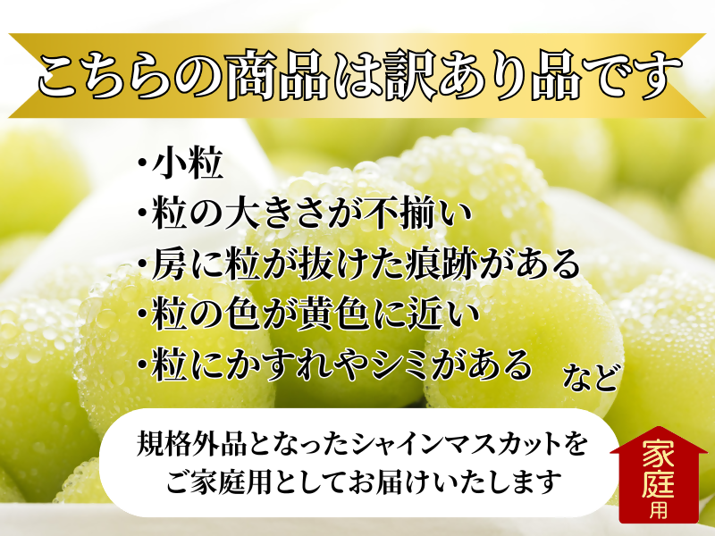 【訳あり】山梨県産旬のシャインマスカット 約1kg（2～3房）ご家庭用【2026年発送】（LKS）A08-850【シャインマスカット 葡萄 ぶどう ブドウ 令和8年発送 期間限定 山梨県産 甲州市 フルーツ 果物】