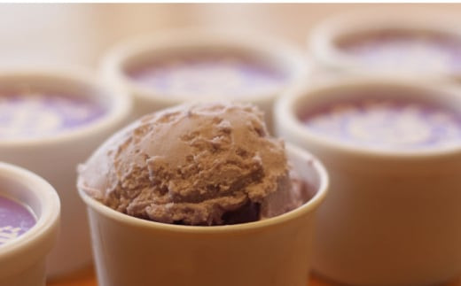 【全12回定期便】アイス 沼南ミルクジェラート 沼隈ぶどう ６個 ぶどう ブドウ アイスクリーム ジェラート デザート スイーツ マスカット ニューベリーA 果汁 ご当地 グルメ お取り寄せ 冷凍 贈答 贈り物 ギフト お土産 濃厚 さっぱり ミルク 新鮮 果物 特産品 美味しい おいしい カップアイス 夏 冬 おやつ 贅沢 家族 誕生日 定期便 広島県福山市/甚ごろう [BAEC044]