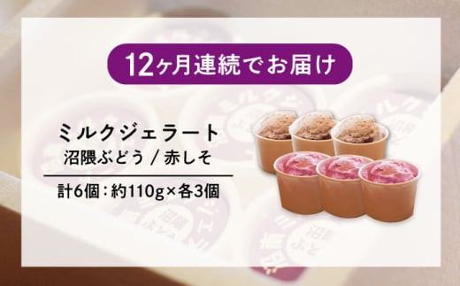 【全12回定期便】アイス 沼南ミルクジェラート 沼隈ぶどう＆赤しそ 各3個 ぶどう ブドウ 赤しそ ジェラート セット アイスクリーム デザート スイーツ ご当地 ニューベリーA フルーツ ゆかり グルメ お取り寄せ お土産 食べ比べ 冷凍 贈答 贈り物 濃厚 さっぱり ミルク 味わい 新鮮 果物 特産品 美味しい おいしい 贅沢 カップアイス 定期便  広島県福山市/甚ごろう [BAEC048]