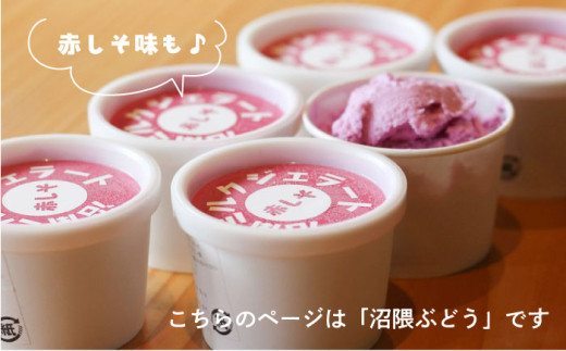 【全12回定期便】アイス 沼南ミルクジェラート 沼隈ぶどう ６個 ぶどう ブドウ アイスクリーム ジェラート デザート スイーツ マスカット ニューベリーA 果汁 ご当地 グルメ お取り寄せ 冷凍 贈答 贈り物 ギフト お土産 濃厚 さっぱり ミルク 新鮮 果物 特産品 美味しい おいしい カップアイス 夏 冬 おやつ 贅沢 家族 誕生日 定期便 広島県福山市/甚ごろう [BAEC044]