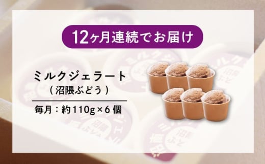 【全12回定期便】アイス 沼南ミルクジェラート 沼隈ぶどう ６個 ぶどう ブドウ アイスクリーム ジェラート デザート スイーツ マスカット ニューベリーA 果汁 ご当地 グルメ お取り寄せ 冷凍 贈答 贈り物 ギフト お土産 濃厚 さっぱり ミルク 新鮮 果物 特産品 美味しい おいしい カップアイス 夏 冬 おやつ 贅沢 家族 誕生日 定期便 広島県福山市/甚ごろう [BAEC044]