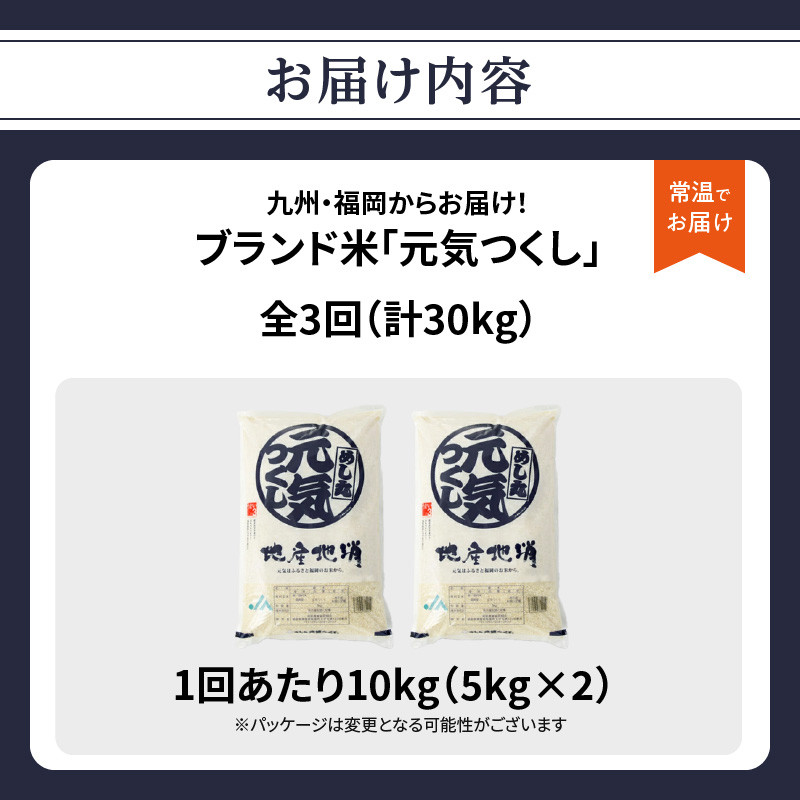 九州・福岡からお届け!ブランド米「元気つくし」定期便 10kg(5㎏×2)【全3回】 お米 米 コメ 白米 特A 直送 お弁当 おにぎり 炊きたて ツヤ 粘り もちもち 弾力 卵かけご飯 福岡県 八女市