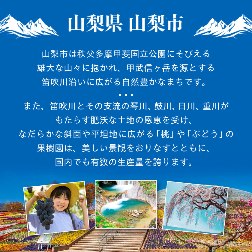 後からゆっくり選べる!フルーツカタログ2品選べる『プレミアムギフトカタログ』桃 シャインマスカット_ ギフト カタログ あとから選べる 山梨 桃 シャインマスカット フルーツ 果物 あとから セレクト スイーツ 米 日本酒 水 飲料 菓子 贈答 【1114876】