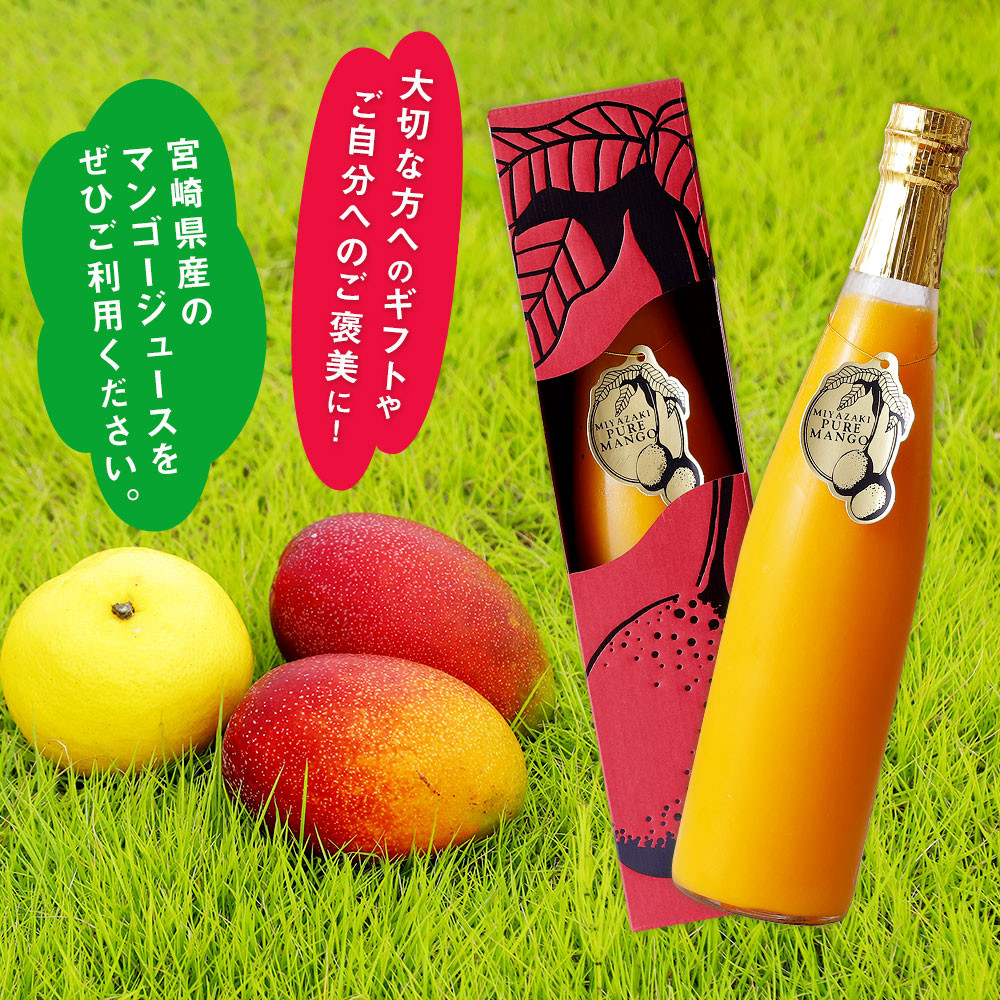 ＜宮崎県産マンゴージュース 極極 500ml＞翌月末迄に順次出荷