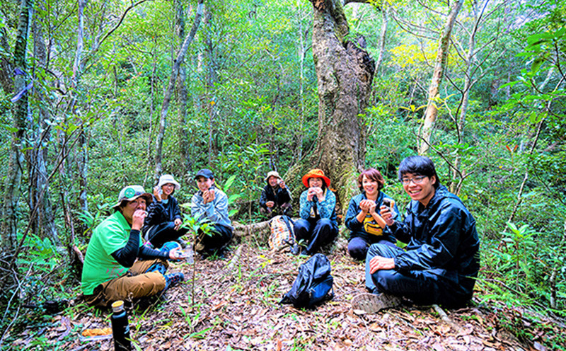 やんばるの森　秘境ツアー【森トレッキング】2名様 やんばる アドベンチャー 秘境 冒険 探検 トレッキング ガイド付き 山歩き カヤック 珍しい生き物 やんばる国立公園 亜熱帯 ジャングル 安心 手軽に参加 非日常 特別 ヤンバルエクスペリエンス やんばる観光 東村