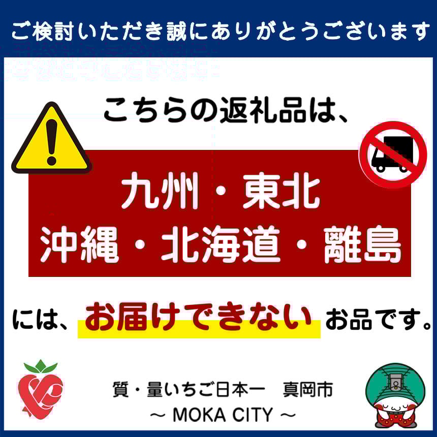いちご農家さん応援米!令和7年度新米 玄米真空パック 約2kg とちぎの星 | 2025年 10月 11月 12月 秋 先行予約 新米 真岡市産 真空 パック 米  お米 こめ 玄米 ご飯 ごはん もちもち  限定 ふるさと納税 先行 予約 栃木県 真岡市 送料無料