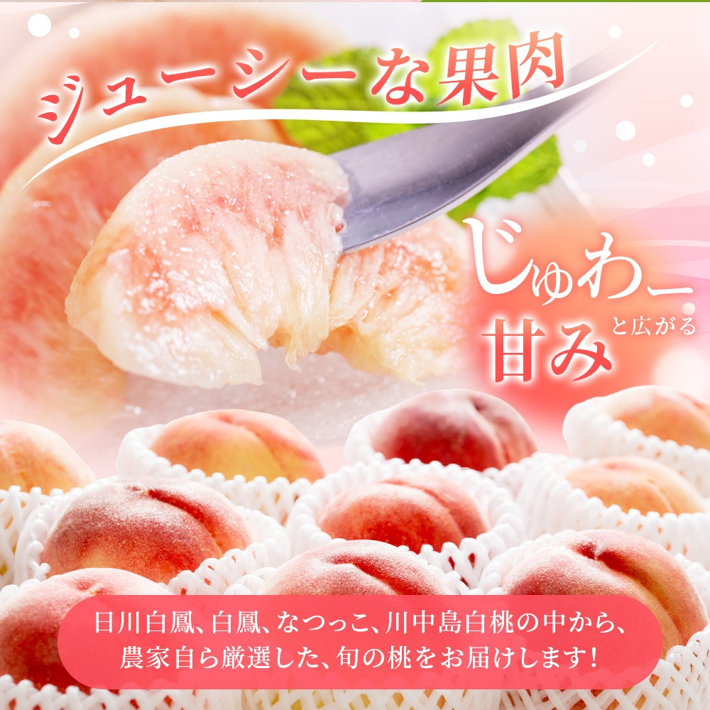 【先行予約】【厳選】あふれる果汁で口いっぱい！ 食べきりサイズ 和歌山県産 桃 3玉 【2026年6月末頃～2026年8月末頃に順次発送予定】（お届け日指定不可）/ 桃 もも モモ フルーツ 果物 くだもの 旬 人気 産地直送 甘い【kgr002】