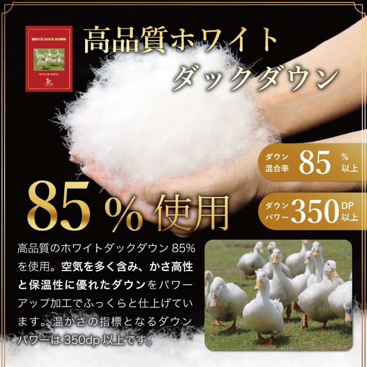 【春夏用】洗える羽毛布団 羽毛布団 ダブル 肌掛け 肌掛け布団 ダウン 夏 春 ホワイトダックダウン 85% 0.6kg (無地 アイボリー)ダウンケット 羽毛 布団 ふとん 肌掛 掛け布団 寝具 夏用 春用 日本製 国産 抗菌防臭 無地  ダニプルーフ 花粉フリー 柔軟加工 コインランドリー [川村羽毛 山梨県 韮崎市 20745031]