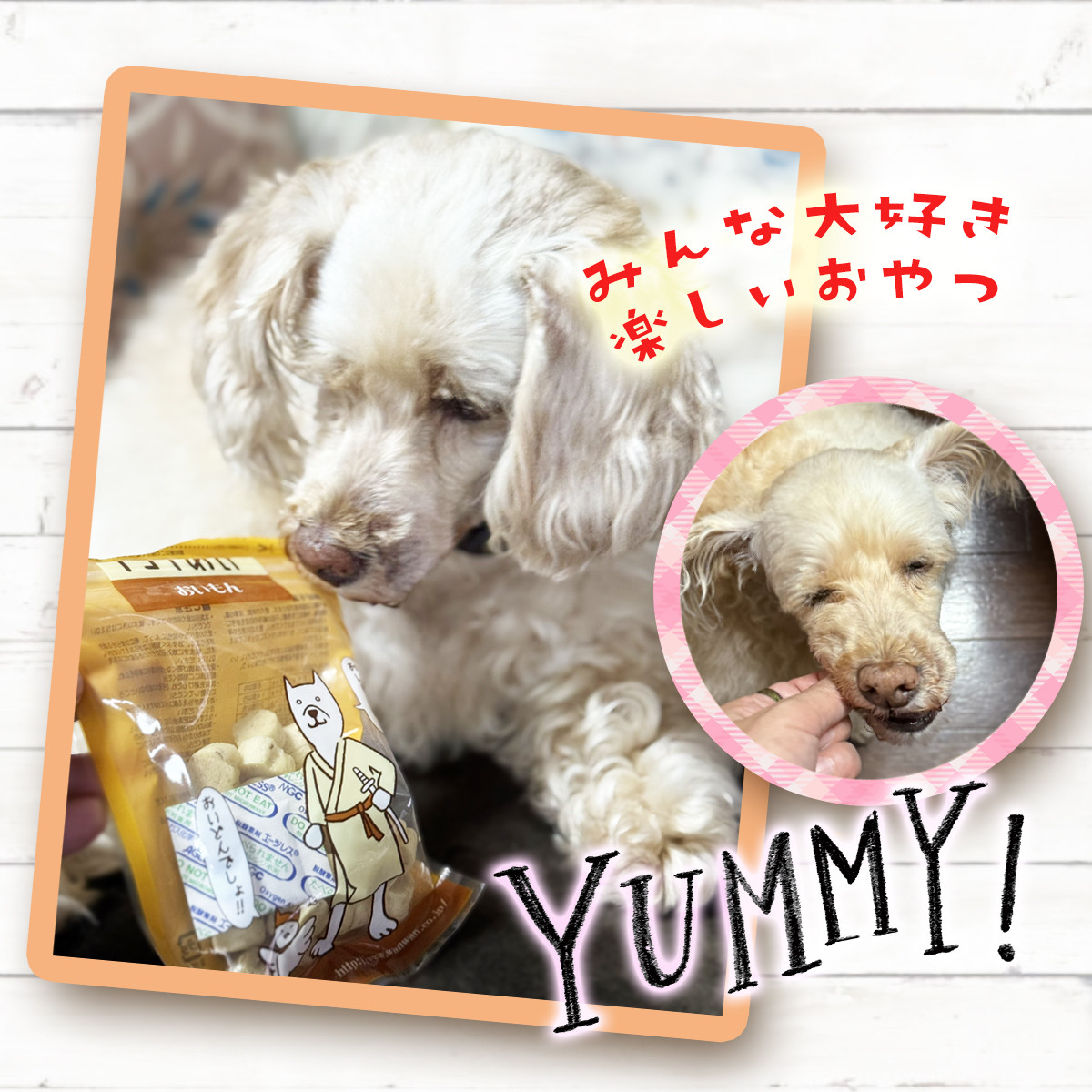 チョイあげ 牛太郎  10パック 1袋50ｇ 10P わんちゃんのおやつ ペット用 おやつ ごほうび しつけ ペットフード トリーツ