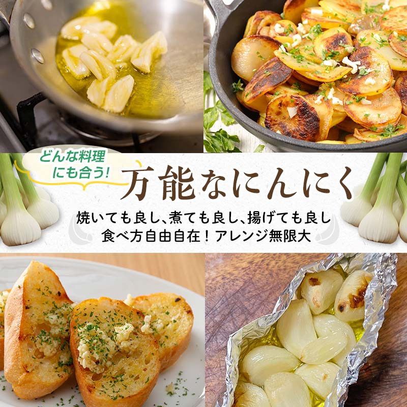 FK7-0181 【先行予約】 嘉島町産 乾燥にんにく 1kg