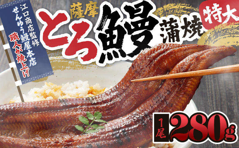 2053-1 【江口商店監修】薩摩とろ鰻蒲焼特大一尾 280g　KN084-003